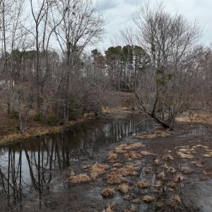 dji_fly_20260218_164726_0039_17714520537