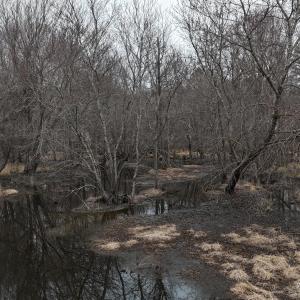 dji_fly_20260218_164754_0042_17714520526