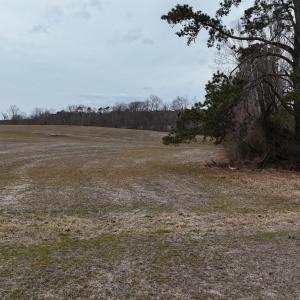 dji_fly_20260218_164420_0026_17714520579