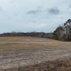 dji_fly_20260218_164302_0021_17714520593