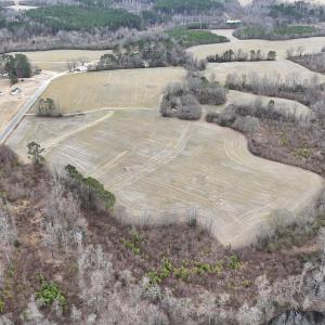 dji_fly_20260218_163748_0008_17714520645