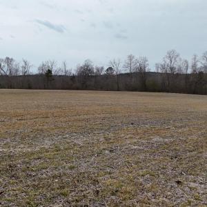 dji_fly_20260218_164602_0035_17714520550