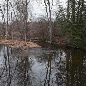 dji_fly_20260218_164642_0037_17714520544