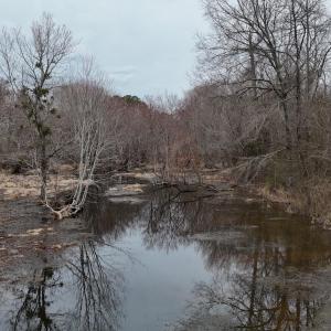 dji_fly_20260218_164728_0040_17714520533