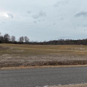 dji_fly_20260218_164256_0020_17714520595