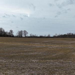 dji_fly_20260218_164402_0025_17714520582