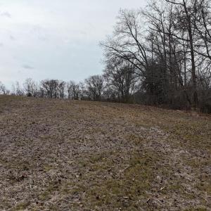 dji_fly_20260218_164520_0031_17714520564