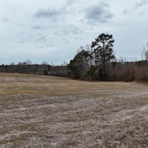 dji_fly_20260218_164346_0023_17714520588