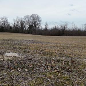 dji_fly_20260218_164558_0034_17714520553