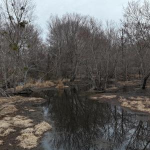 dji_fly_20260218_164746_0041_17714520529