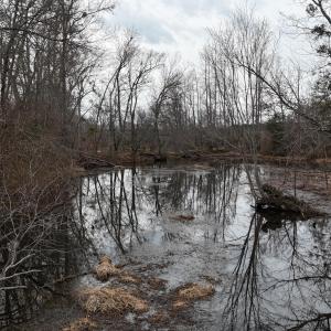 dji_fly_20260218_164800_0043_17714520522