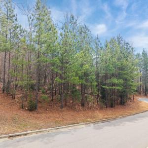 14-web-or-mls-DJI_20260225125536_0334_D