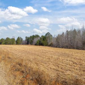 36-web-or-mls-DJI_20260223124504_0086_D