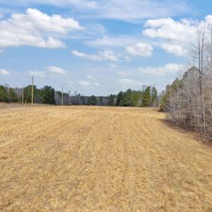 37-web-or-mls-DJI_20260223124518_0087_D