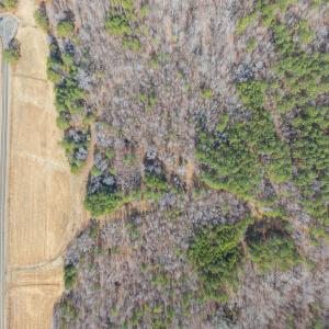 44-web-or-mls-DJI_20260223124909_0094_D