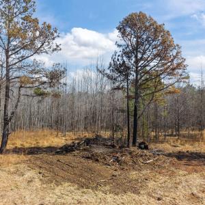 15-web-or-mls-DJI_20260223123514_0062_D