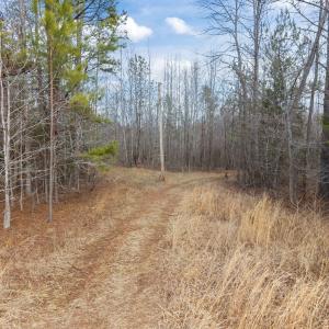 40-web-or-mls-DJI_20260223124630_0090_D