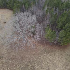 DJI_0739