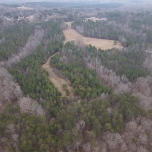 DJI_0731