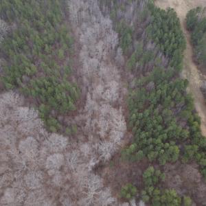 DJI_0734