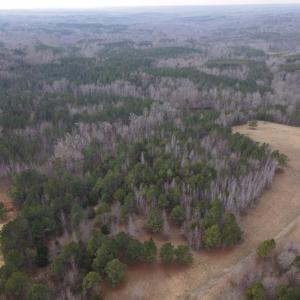 DJI_0721