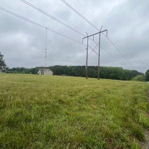 Pasture