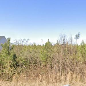 Screenshot 2026-03-03 at 9.34.28PM