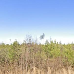 Screenshot 2026-03-03 at 9.34.38PM