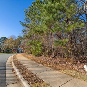 25-025-Lot398-CR-20241205