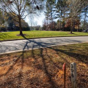 28-028-Lot398-CR-20241205