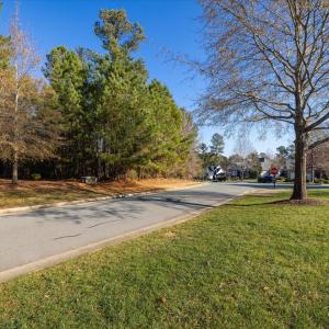 29-029-Lot398-CR-20241205