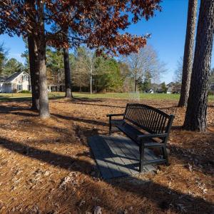 31-031-Lot398-CR-20241205