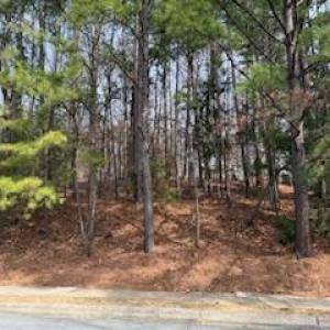 111 Bolinwood Dr. View 1