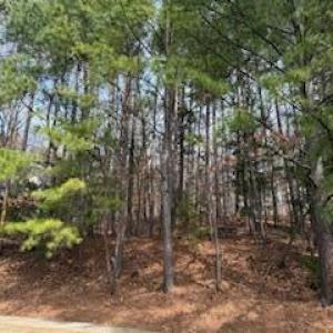 111 Bolinwood Dr. View 2