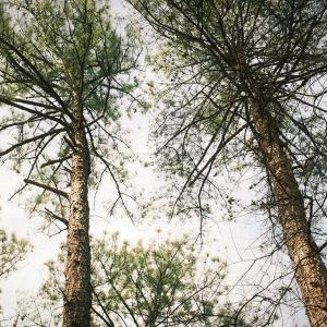 DSCF8705