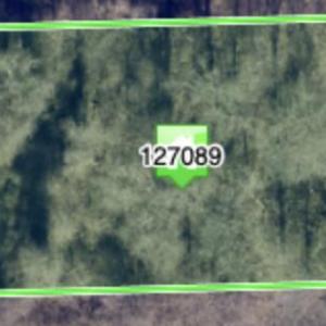 Screenshot 2026-03-03 at 8.54.32PM