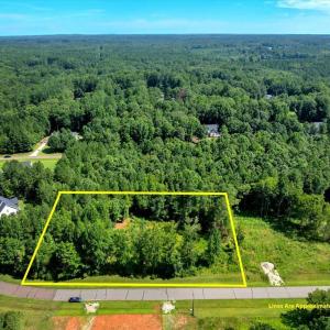 01-DJI_20250718155735_0206_D with lines