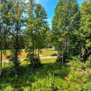 15-DJI_20250718160343_0266_D