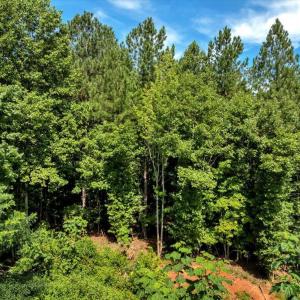 14-DJI_20250718160334_0261_D