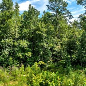 17-DJI_20250718160426_0276_D