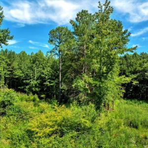 13-DJI_20250718160208_0256_D