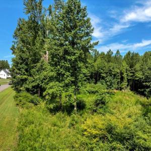 12-DJI_20250718160156_0251_D