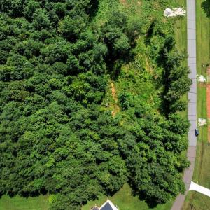 18-DJI_20250718160504_0281_D