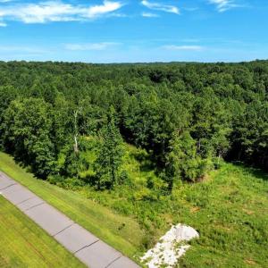 11-DJI_20250718160121_0246_D