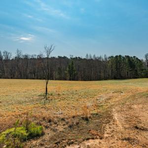 Secretariat Court, Lot 14-001