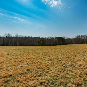 Secretariat Court, Lot 14-007