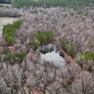 Aerial Pond View