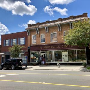 Churton_Street,_Hillsborough,_NC_(489767