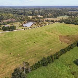 8-web-or-mls-DJI_20241004133418_0219_D