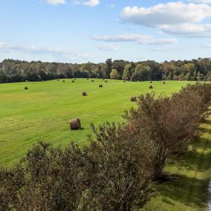 14-web-or-mls-DJI_20241004133515_0225_D